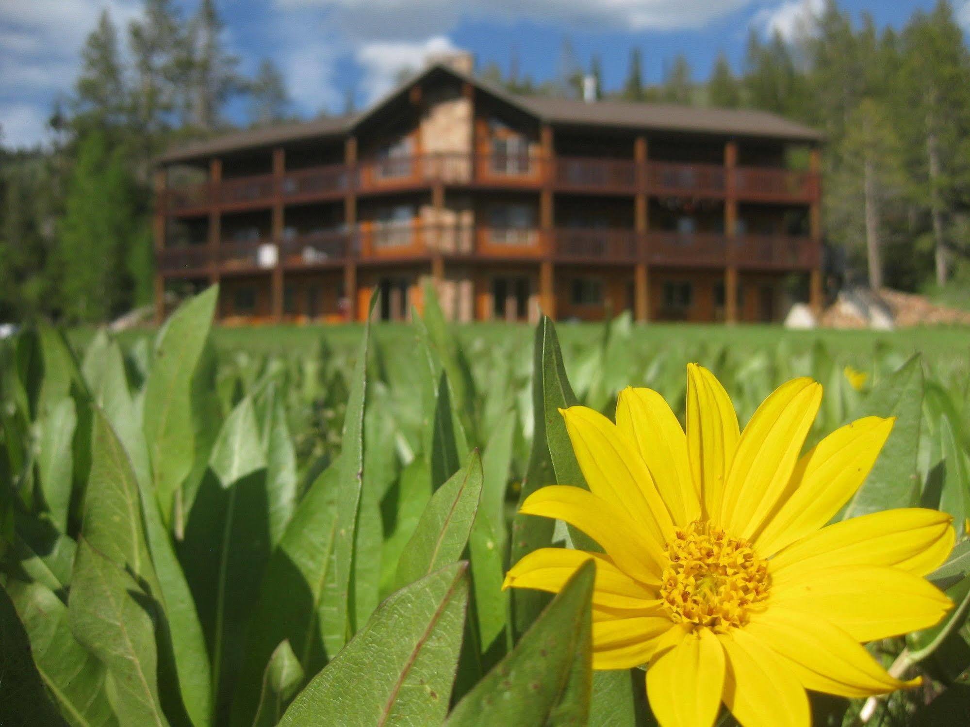 Beaver Creek Lodge ローガン エクステリア 写真